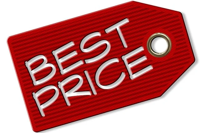 Pricing and Budget Considerations